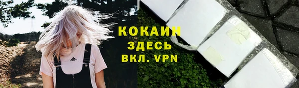ГАЛЛЮЦИНОГЕННЫЕ ГРИБЫ Белокуриха