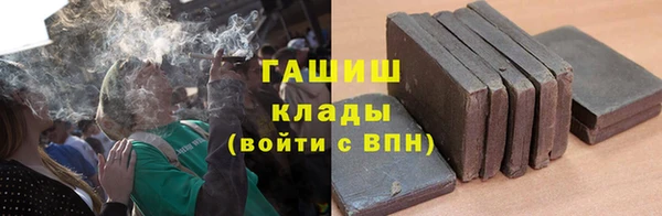 ГАЛЛЮЦИНОГЕННЫЕ ГРИБЫ Белокуриха