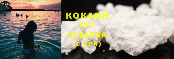 ГАЛЛЮЦИНОГЕННЫЕ ГРИБЫ Белокуриха