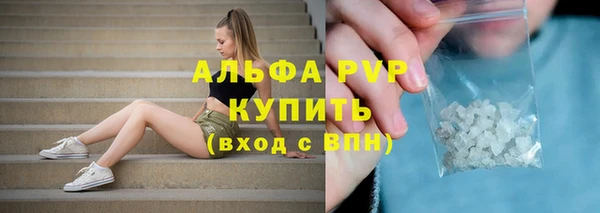 mdpv Богородицк