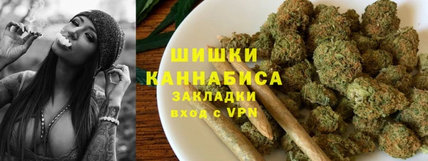 ГАЛЛЮЦИНОГЕННЫЕ ГРИБЫ Белокуриха