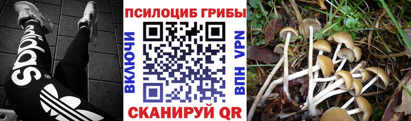 Галлюциногенные грибы мухоморы  Купить закладки  Урай 